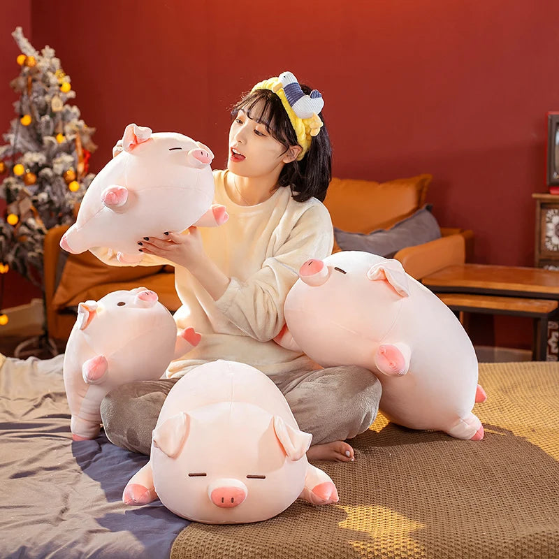 Squishy Pig Plushie Collection