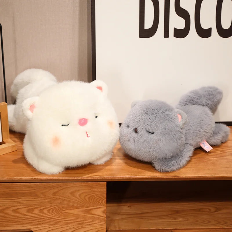 Sleepy Oishi-Cat Plushie Collection