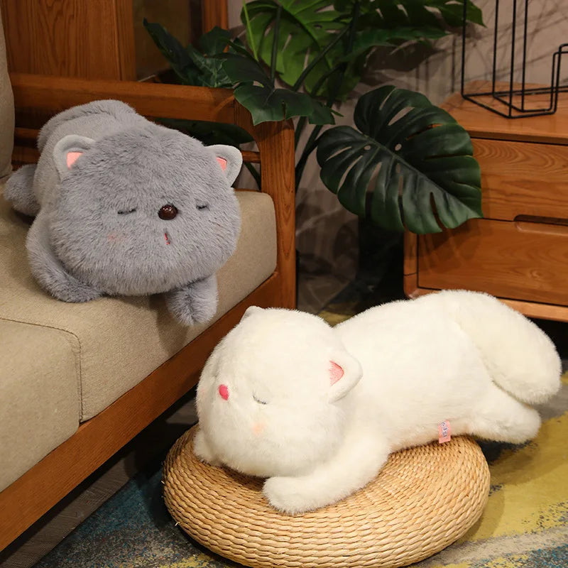 Sleepy Oishi-Cat Plushie Collection